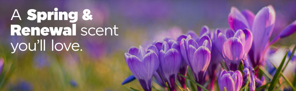 A Spring &amp;amp; Renewal scent you&amp;#39;ll love.