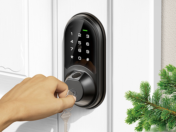 smart door lock