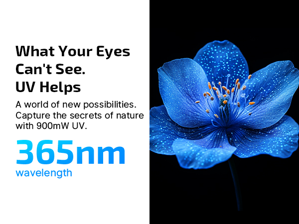 What Your Eyes Can&amp;#39;t See. UV Helps