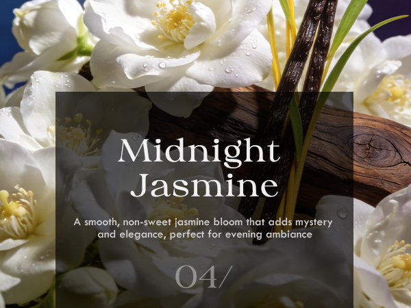 Midnight Jasmine Candles