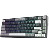TECWARE Phantom S 75% Gasket-Mounted Mechanical Keyboard w/TFT Display and Knob, Red Switches (Bl...