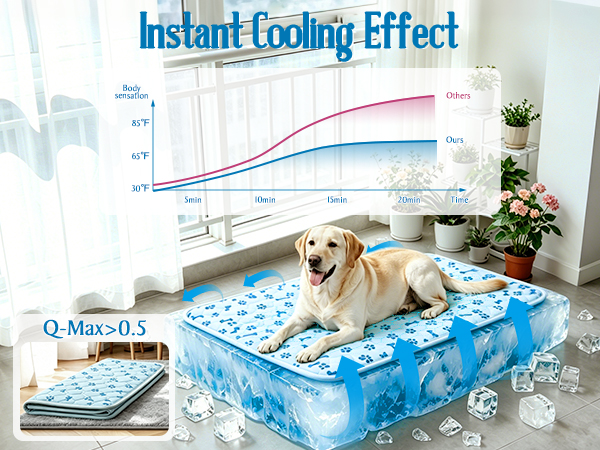 dog summer bed