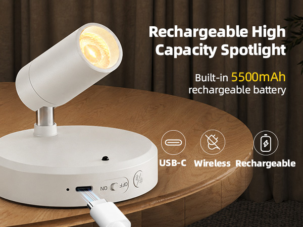 Rechargeable battery plant spotlight indoor
