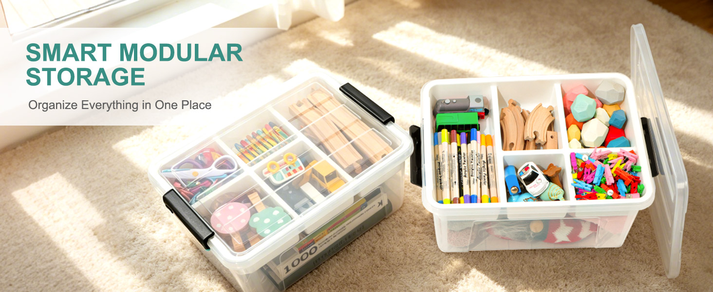 Clear Storage Bins with Lids