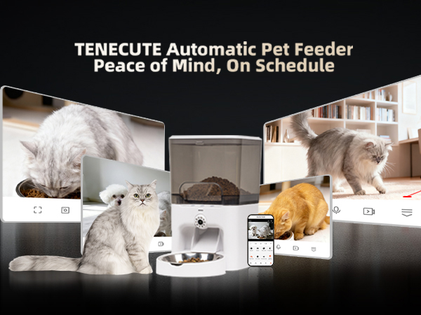 automatic cat feeder