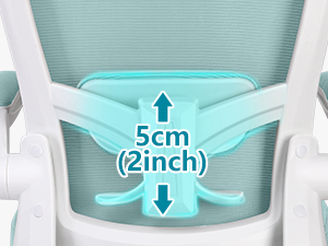 Dynamic Lumbar Support