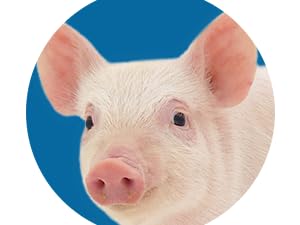 Farm Animals