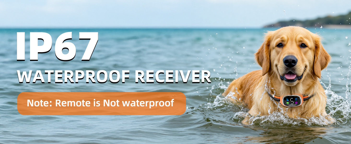 IP67 Waterproof Receiver