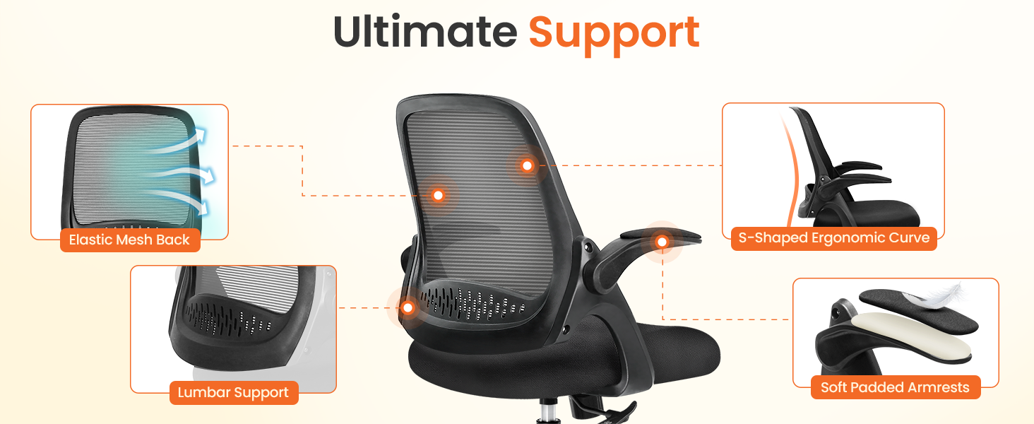 Ergonomic Chair with Comprehensive Support