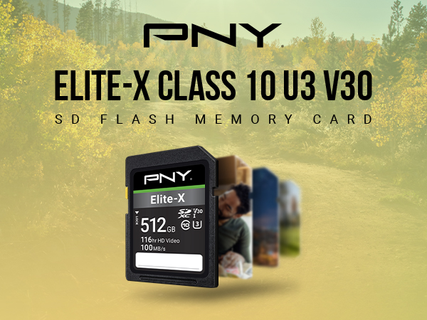 Elite-X Class 10 U3 V30 SD