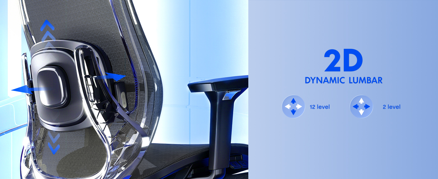 2D Lumbar Support