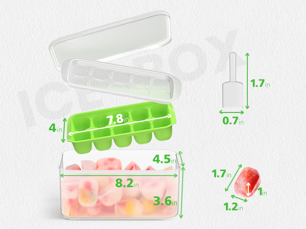 ice cube tray (1)
