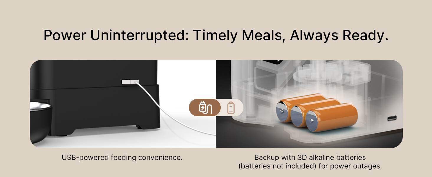 automatic cat feeders