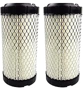 GaeaAuto Air Filter Pack of 2 Fit for NAPA 6449 / Baldwin RS3715 / Fleetguard AF25550 / WIX 46449...