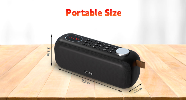 Bluetooth Speaker Radio