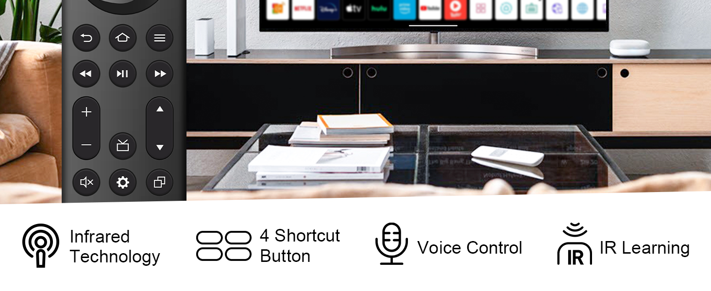 voice replacement remote control