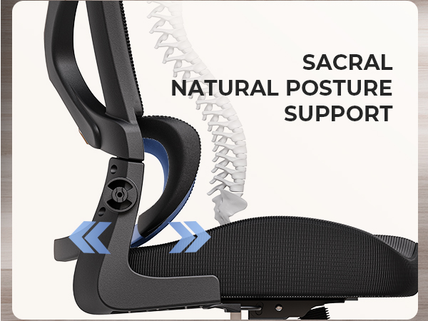 ergonomic office chair