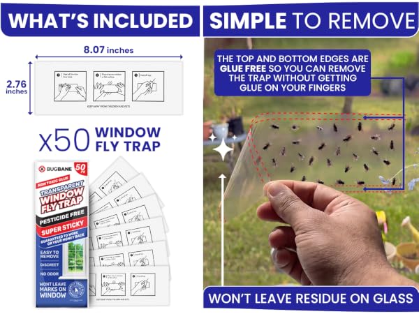 Simple to remove house fly trap indoor. Fruit fly sticky traps for getting rid of house flies. 