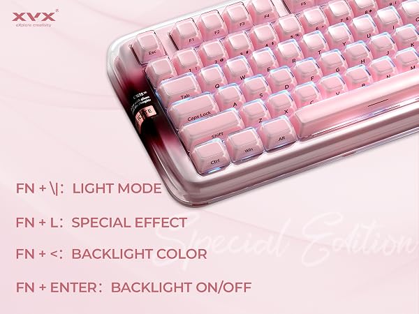 Backlight