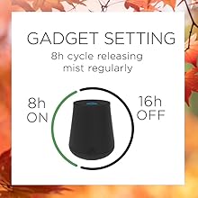 Gadget setting 8h cycle releasing mist regularly