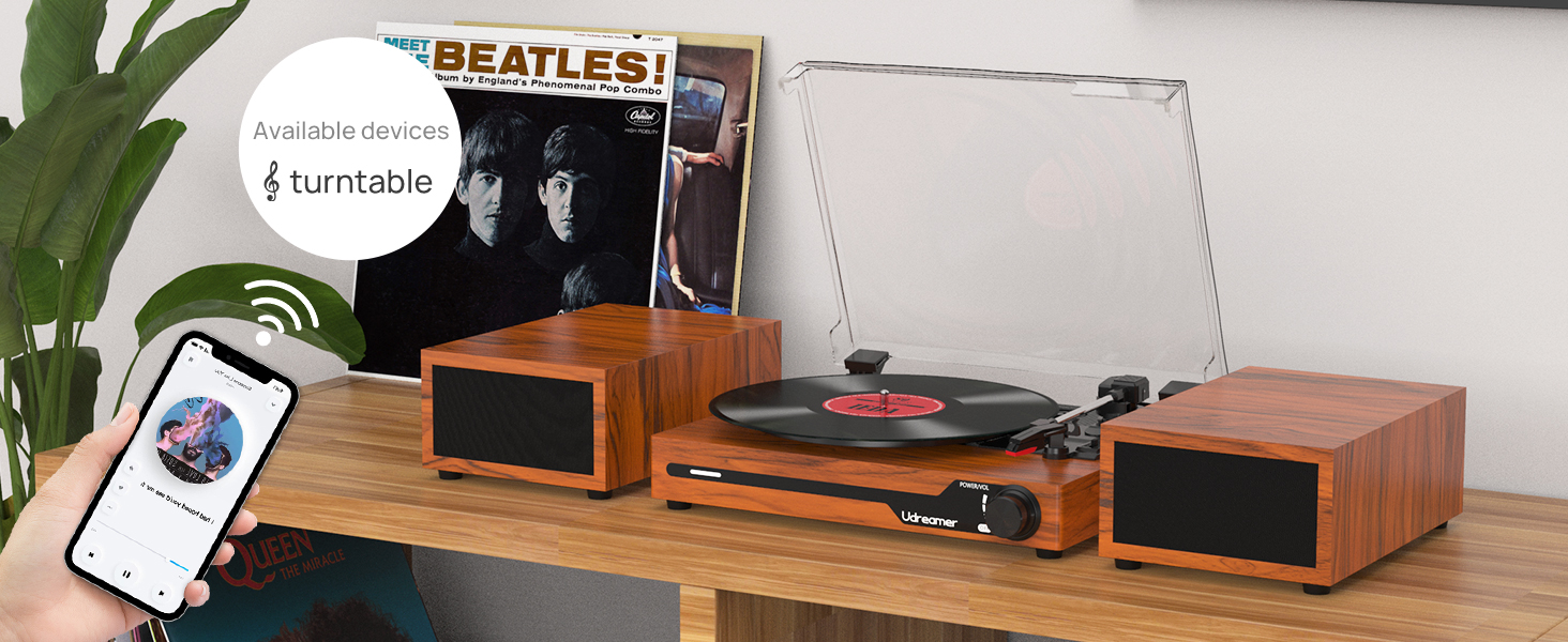 record player Bluetooth 