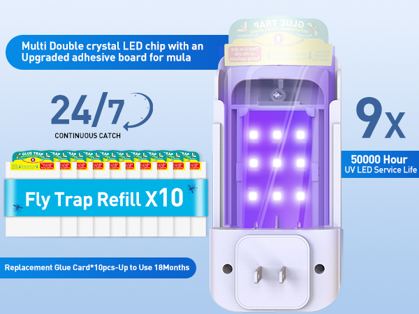 gnat traps for house indoor