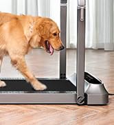 Foldable Walking Pad Treadmill