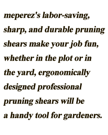 garden pruning gardening