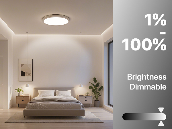 flush mount ceiling light 1