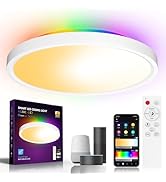 Flush Mount Smart LED Ceiling Light,WiFi &amp; Bluetooth &amp;2.4G Remote Control,2700~6500K White Light/...