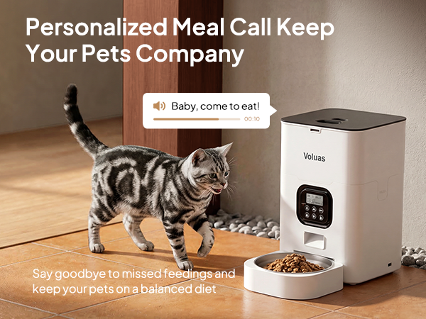 Automatic Cat Feeders
