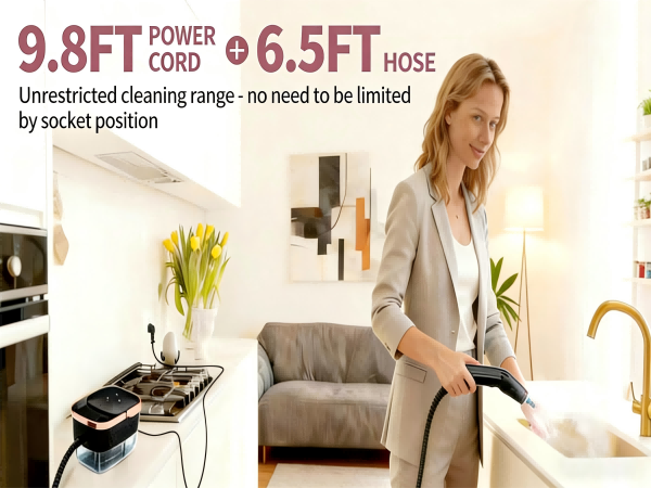 steam cleaner for home