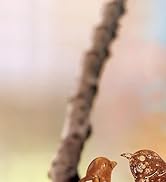 GWHOLE 4Pcs Rusty Metal Birds, Outdoor Decor Garden Bird Statue Metal Yard Art Ornaments for Gard...