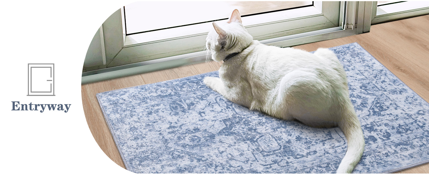 entry way rugs indoor 2x3 blue white
