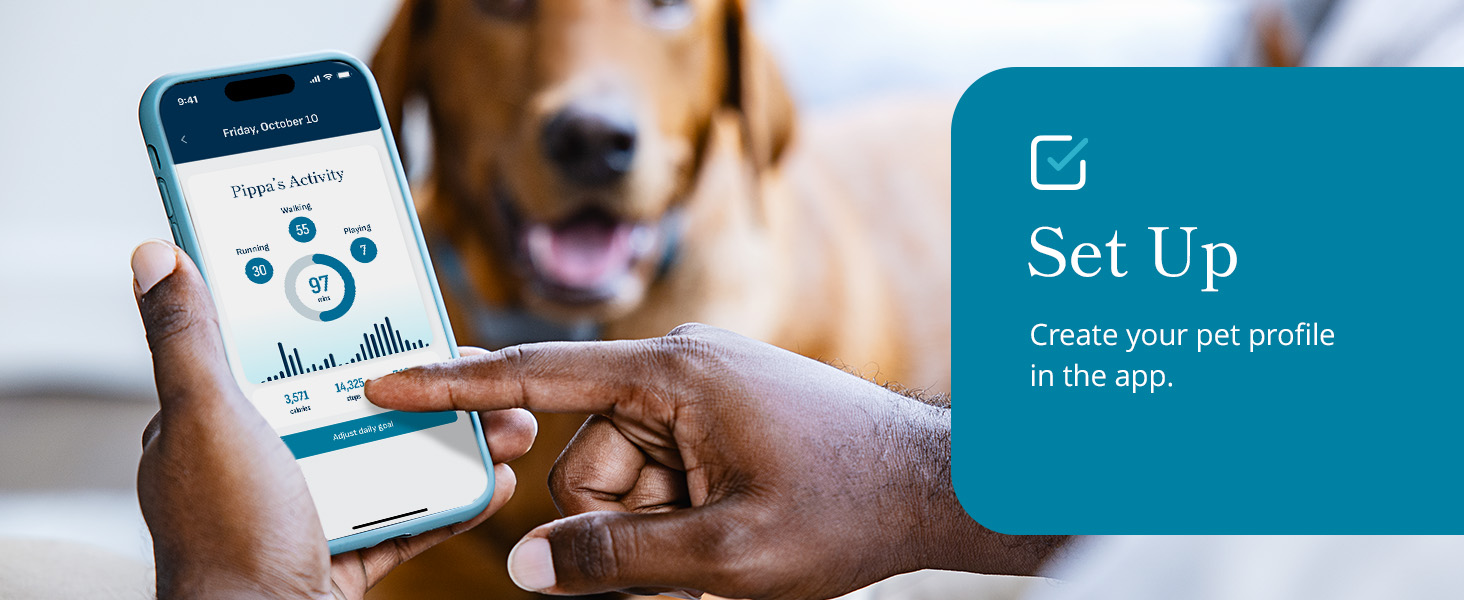 petivity tracker phone with dog in background &amp;amp; set up