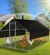 Chicken Coop Shade Cloth