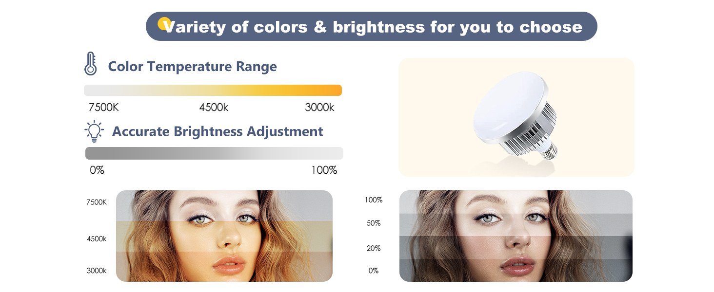 Softbox Photography Lighting Kit