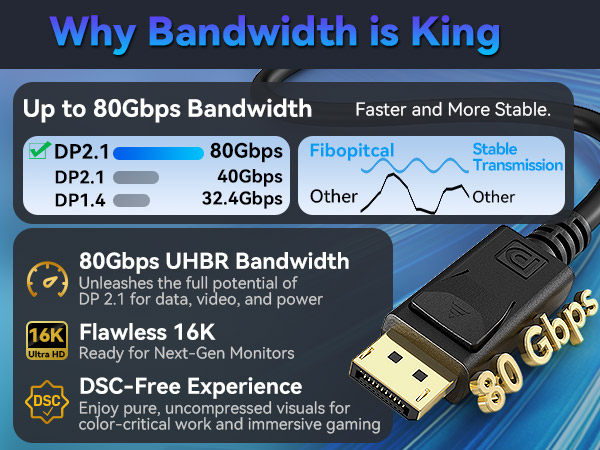 displayport cable TD3 DP80
