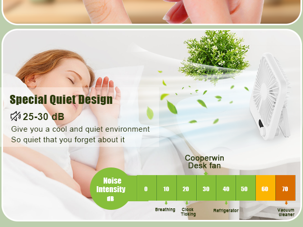 rechargeable fan portable