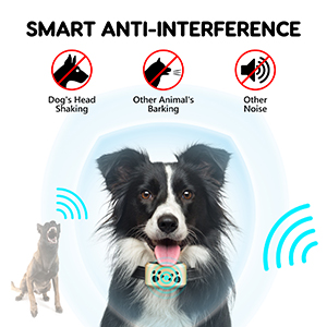 anti bark device for dogs