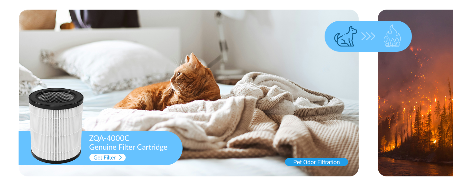 Air purifier for home