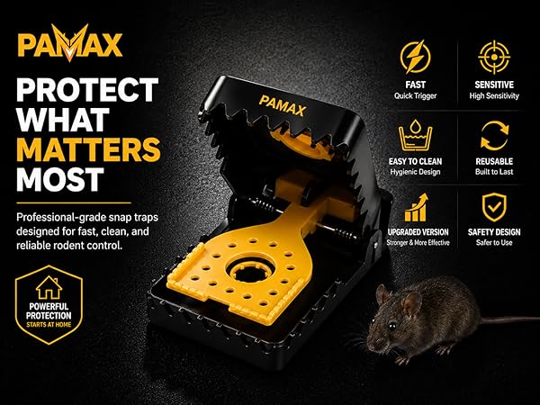 mouse traps indoor for home