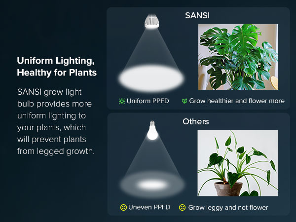 PAR25 24W GROW LIGHT BULB