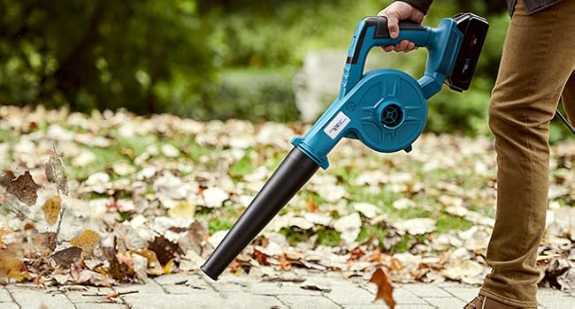Small Leaf Blower Cordless