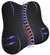 Cxprctpu Lumbar Support Pillow, Ergonomic Memory Foam Cushion Promotes Back Pain Relief &amp; Improve...