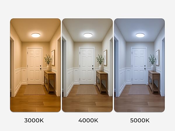 flush mount ceiling light