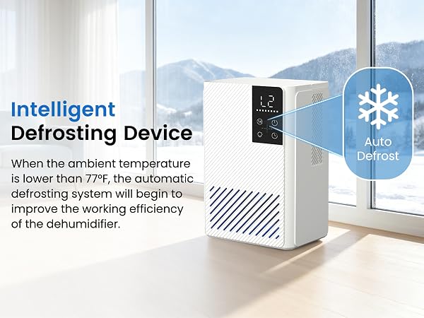 dehumidifiers for home