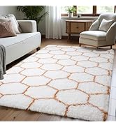 Zentavio Area Rugs for Living Room Rugs for Bedroom 4x6 Carpet Fluffy Fuzzy Soft Shag Aesthetic P...