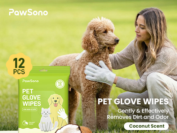 glove wipes