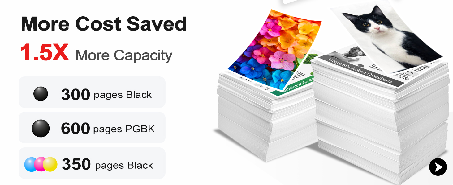 250XL INK CARTRIDGE